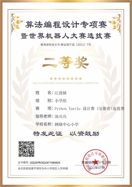 设计赛 (安徽省)选拔赛——二等奖