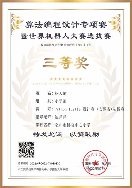 设计赛 (安徽省)选拔赛——三等奖